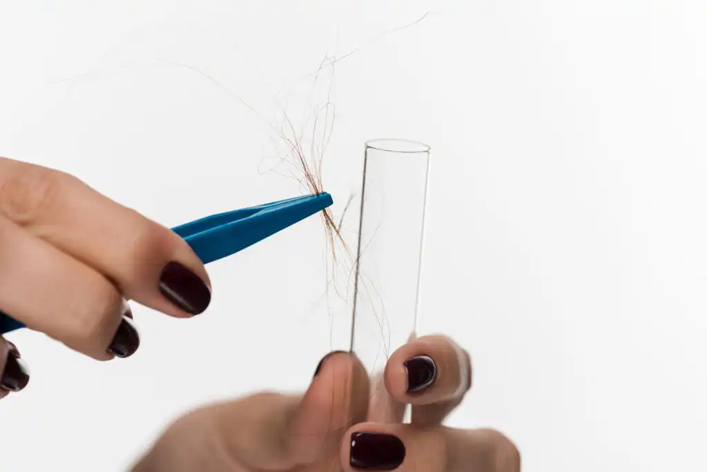Hair Tissue Mineral Analysis (HTMA) Tweezers hold hair over test tube